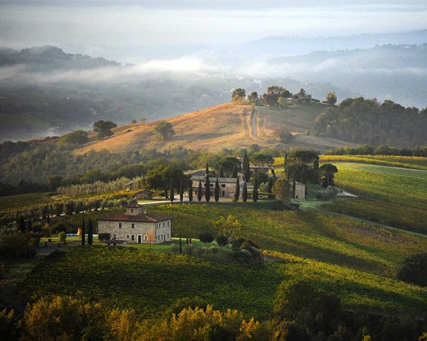 Decugnano dei Barbi