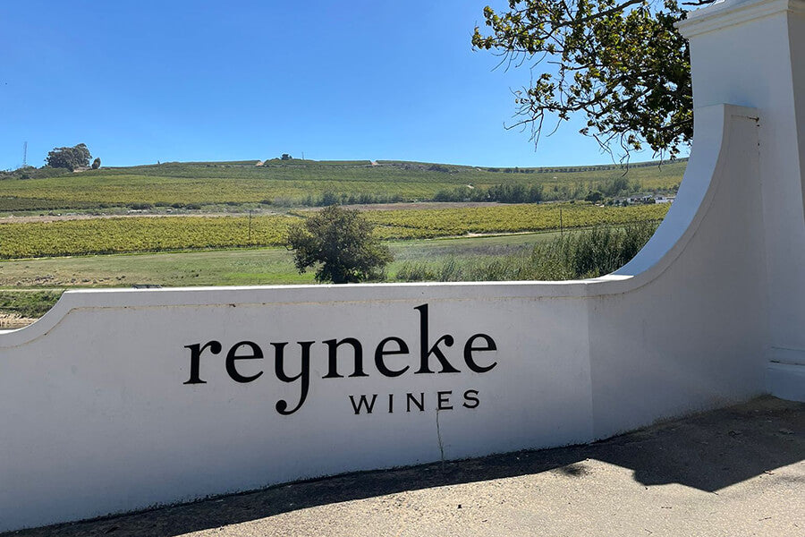 Reyneke