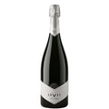 Trento Pas Dosé Millesimato DOC 2021 Magnum - Levii (astuccio)