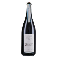Piemonte Grignolino DOC 2024 - Sette
