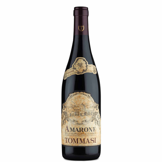 Amarone della Valpolicella Classico DOCG 2019 - Tommasi