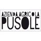 Cannonau di Sardegna DOC “Sa Scala” 2020 - Pusole