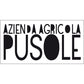 Cannonau di Sardegna DOC “Sa Scala” 2021 - Pusole