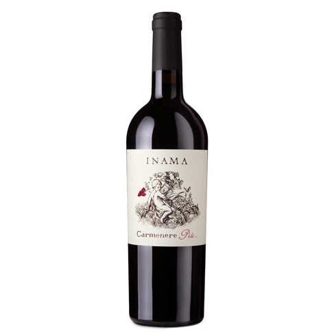 Veneto Rosso IGT "Carmenere Più" 2023 - Inama