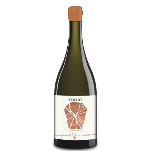 Marche Bianco Macerato IGT "Coccio" 2022 - Filodivino