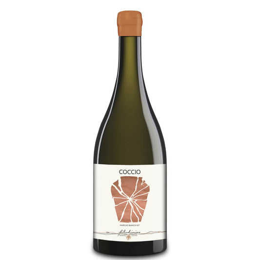 Marche Bianco Macerato IGT "Coccio" 2022 - Filodivino