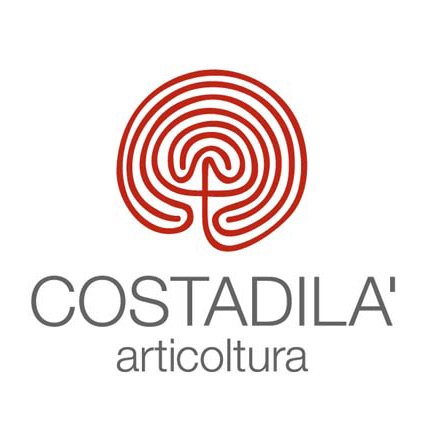 Bianco Frizzante dei Colli Trevigiani IGT "280 s.l.m." - Costadilà (tappo a corona)