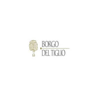 Collio Chardonnay DOC 2023 - Borgo del Tiglio