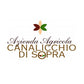Brunello di Montalcino DOCG "Canalicchio di Sopra" 2020 - Canalicchio di Sopra