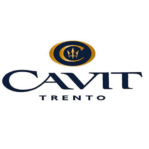 Vigneti delle Dolomiti Bianco "Maso Toresella" 2021 - Cavit