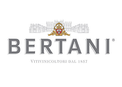 Amarone della Valpolicella Classico DOCG 2015 Magnum - Bertani (cassetta di legno)