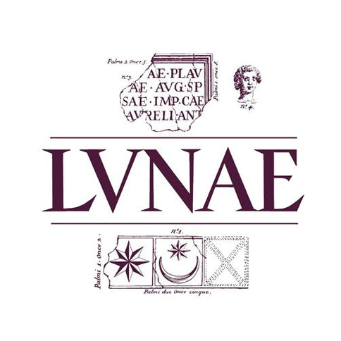 Colli di Luni Vermentino DOC "Etichetta Grigia" 2024 - Lunae