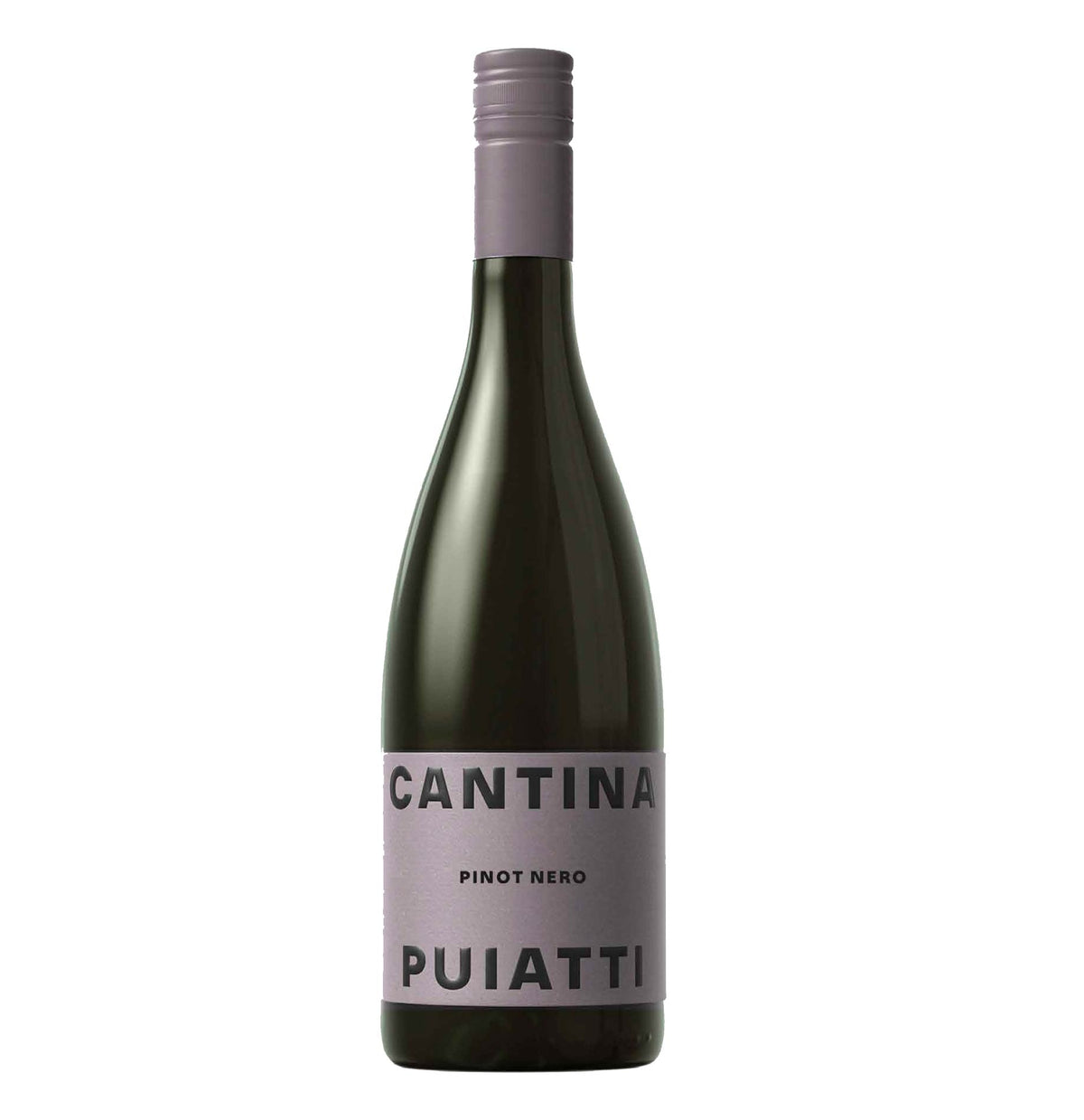 Pinot Nero Friuli DOC 2025 - Puiatti