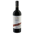 Barbera d'Asti Superiore DOCG 2021 - Villa Lanata